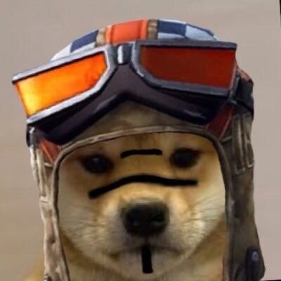 Create meme: twitch.tv, funny dogs, a puppy in a helmet