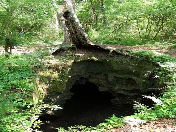 Create meme: cave in the forest, forest cave, entrance to the cave