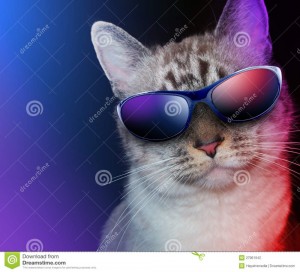 Create meme: cats with glasses, cat with glasses, pictures of cats with glasses