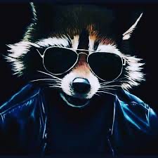 Create meme: raccoon art, cool raccoon, raccoon glasses
