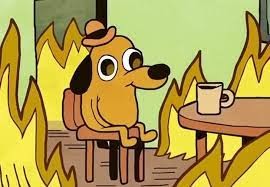 Create meme: dog in the burning house, a dog is sitting in a burning house, a dog in a burning house
