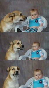 Create meme: me, The dog and the kid