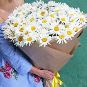 Create meme: a beautiful bouquet of daisies