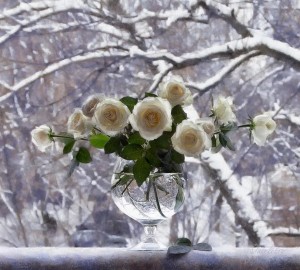 Create meme: bouquet winter