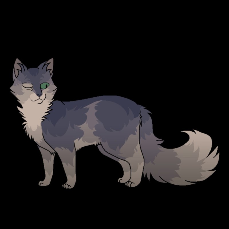 Create meme: arts cats warriors, cats warriors wiki, invisible star warrior cats