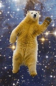 Create meme: polar bear, polar bear meme, polar bear