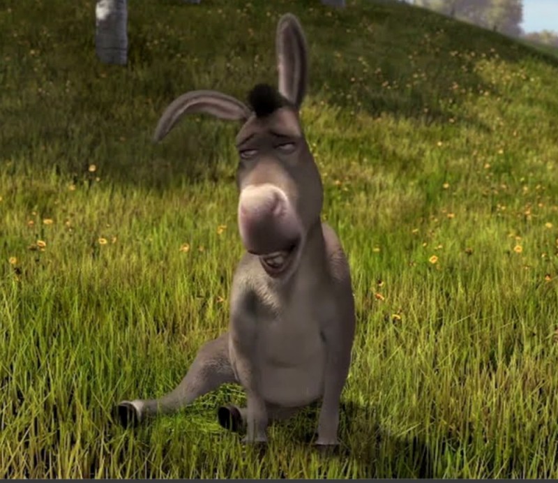 Create meme: donkey shrek 2, donkey from Shrek, Shrek 