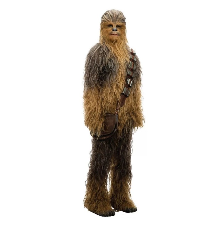 Create meme: Chewbacca from star, Chewbacca star wars, chewbacca of the Star Warriors