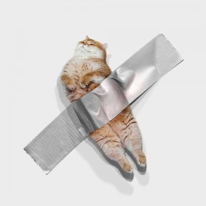 Create meme: dirty white gloves, Moore Moore shop, socks for cats
