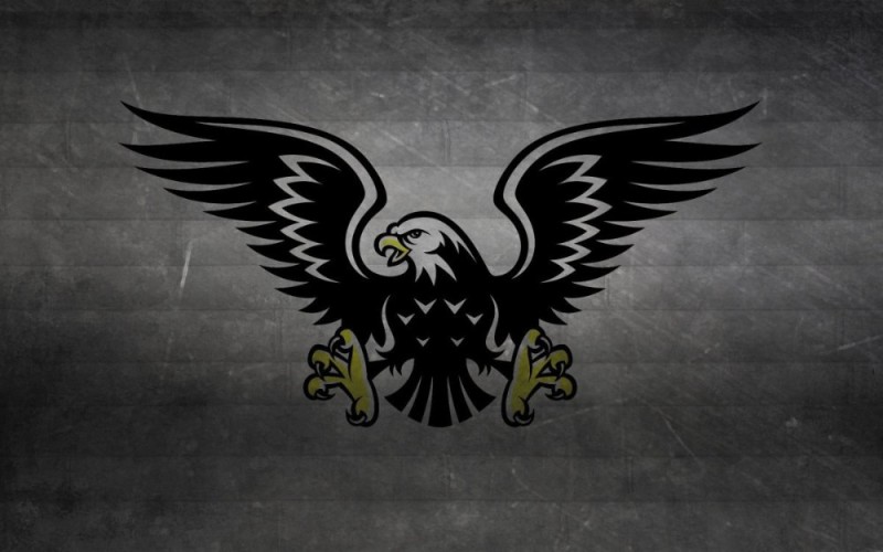 Create meme: background for the clan, backgrounds for clan avatars, eagle emblem