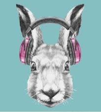 Create meme: rabbit with glasses pattern, rabbit in the headphones picture, the head of the rabbit vector