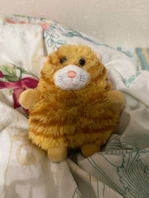 Create meme: soft toy cat, toy cat , orange cat toy