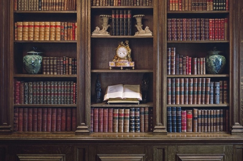 Create meme: background bookshelves, fabian smith bookshelf, bookshelves 