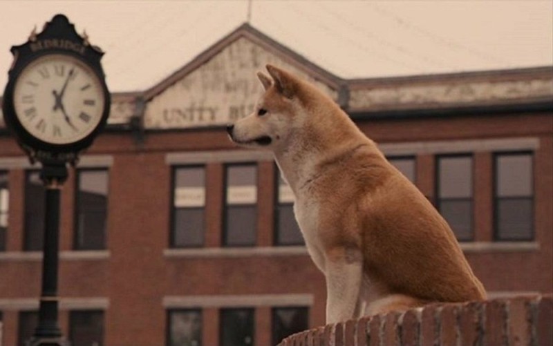 Создать мем: хатико собака, хатико 2, кадр из фильма хатико