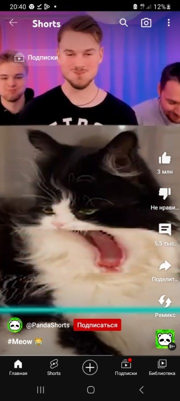 Create meme: cat funny , fun with cats , screenshot 