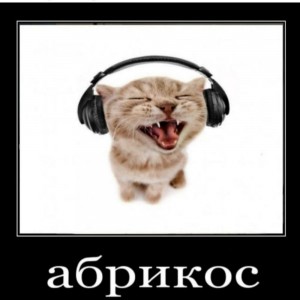 Create meme: cat with headphones