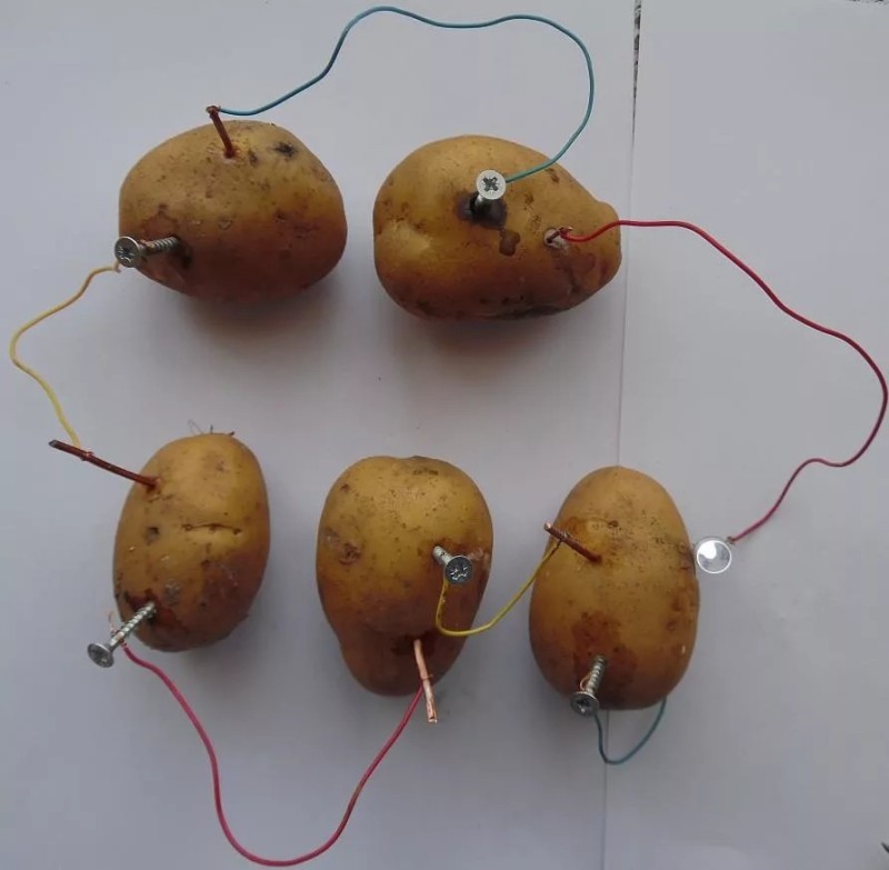 Создать мем: гальваническая батарея из картофеля, картошка электричество, электричество из картошки