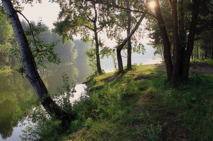 Create meme: nature landscapes, landscape morning, Kurkino summer morning