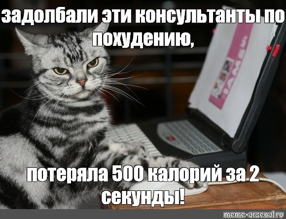 Задолбанный кот Мем. Кошка Мем задалбливает. Кот проектировщик. Мемы про проектировщиков.