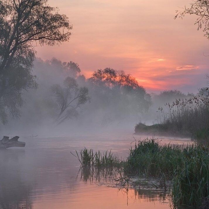 Create meme: morning landscape, morning fog , belarus polesie fog