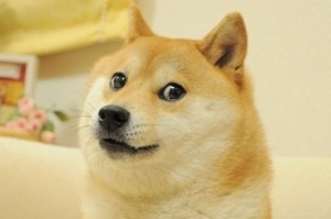 Create meme: dog dogs meme, Shiba inu meme, meme doge 