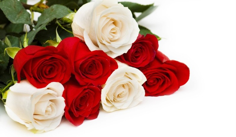Create meme: roses postcards are beautiful, bouquets of roses postcards, red and white rose 