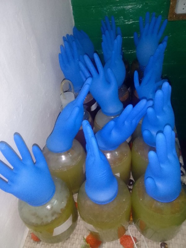 Создать мем: синие перчатки, перчатка на бутыль с брагой, нитриловые перчатки
