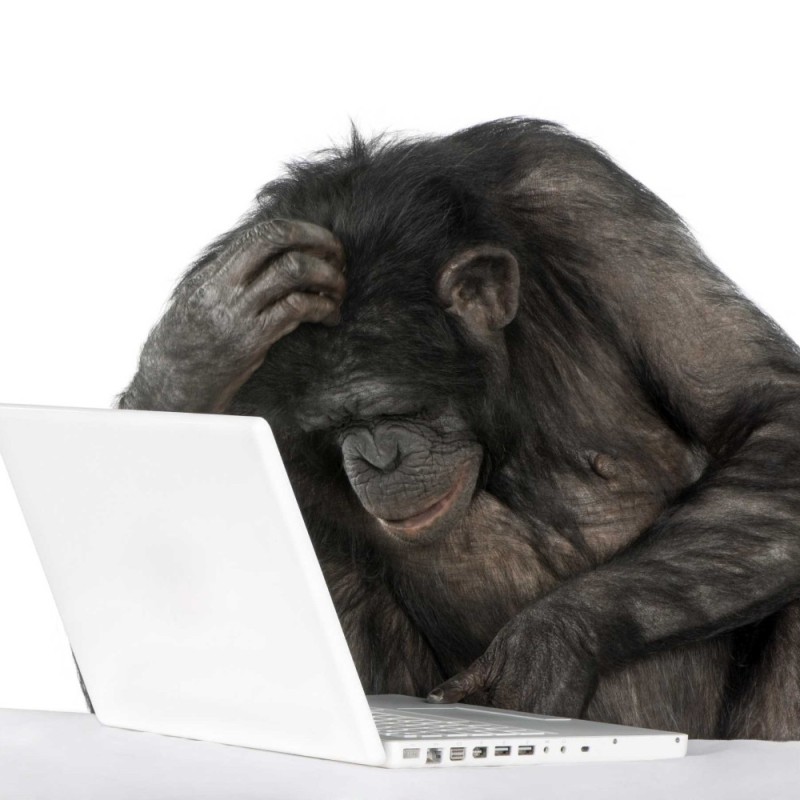 Создать мем: обезьяна за компьютером, обезьяна перед компьютером, обезьяна думает за компьютером