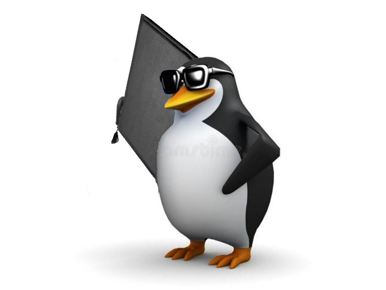 Create meme: meme penguin phone, the penguin with the phone, the penguin meme