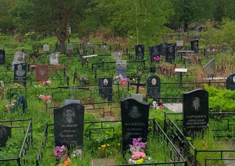 Создать мем: фотографии кладбища, кладбище в ельдигино, кладбища кладбище