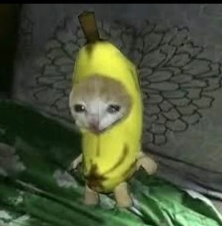 Create meme: a cat in a banana costume, cat in a banana costume original, Yegor Letov 