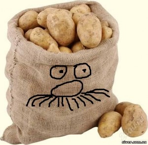 Create meme: potatoes, potatoes, a sack of potatoes pictures