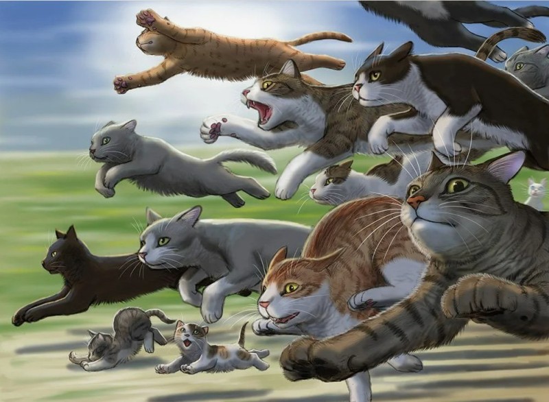 Create meme: warriors cats, warrior cats are running, cat art