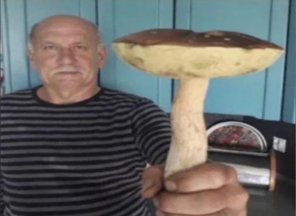 Создать мем: ем грибы, pikabu monster, будешь гриб
