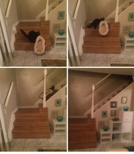 Создать мем: обиженный котик, под лестницей, ламинат