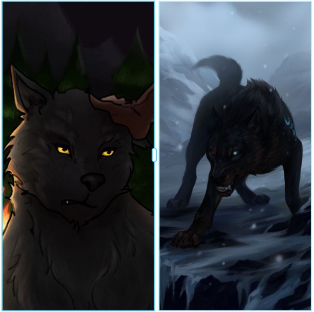 Create meme: black wolves, wolf art, Guardians of the Wolves art