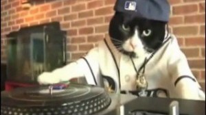 Create meme: cat rapper, cat DJ