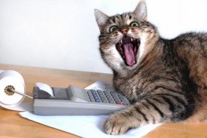 Создать мем: смешные коты приколы, кот смешной, кот занят
