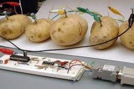 Создать мем: электричество из картошки, сервер из картошки, картошка электричество
