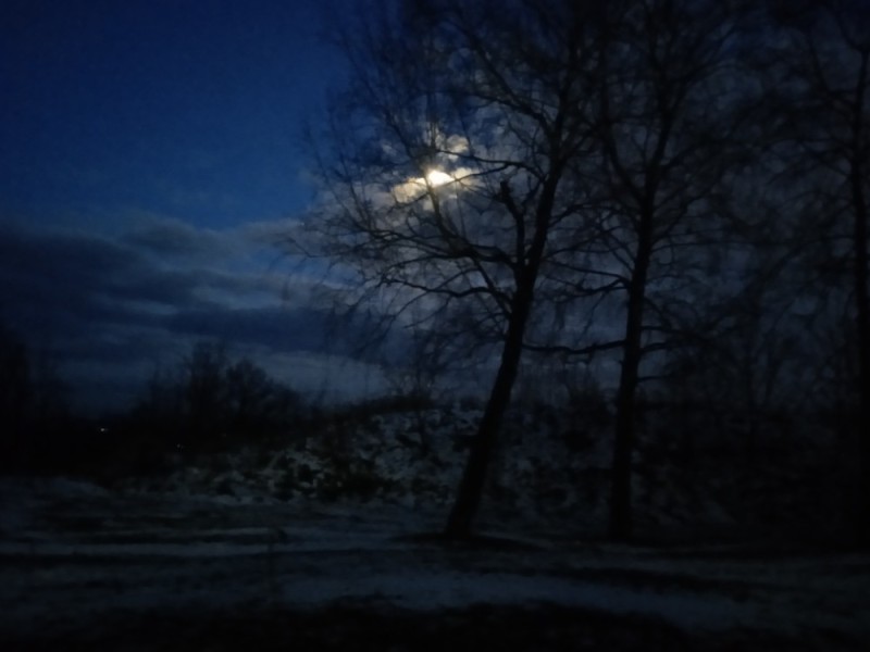 Создать мем: природа ночью, ночь пейзаж, лес луна