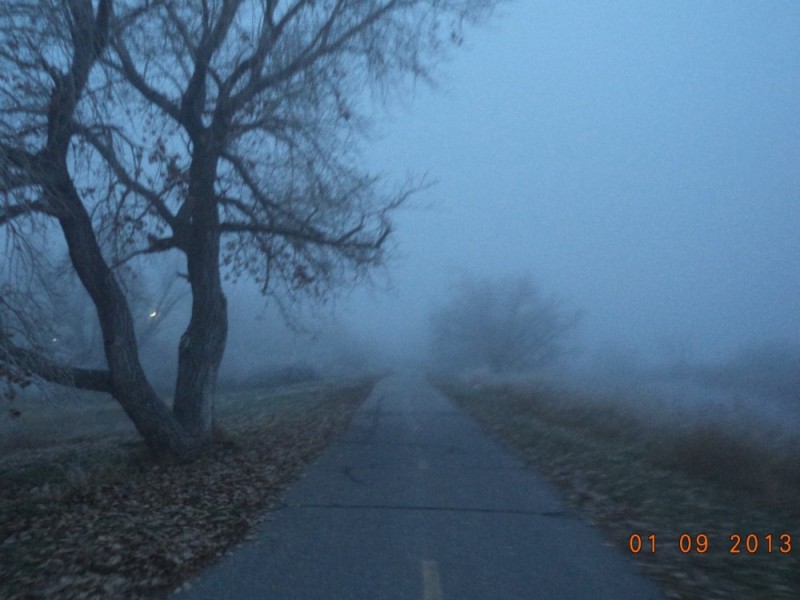 Create meme: morning fog , thick fog , Fog fog