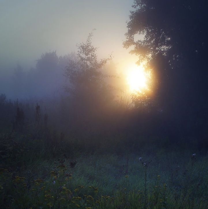Create meme: morning mist , morning sun, morning fog 