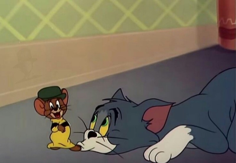 Create meme: Tom and Jerry , Tom from Tom and Jerry, cousin of tom and Jerry