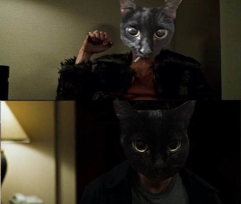 Создать мем: кот странный, чёрная кошка, кошка