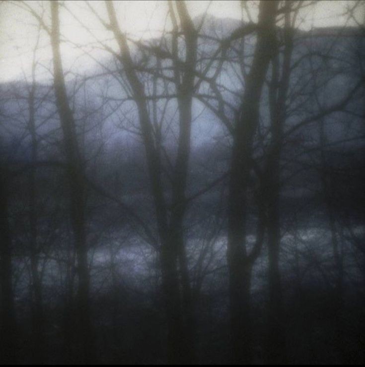 Create meme: darkness, landscape , misty forest