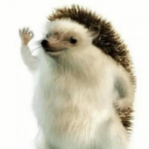 Create meme: hedgehog meme, hedgehog meme, hedgehog
