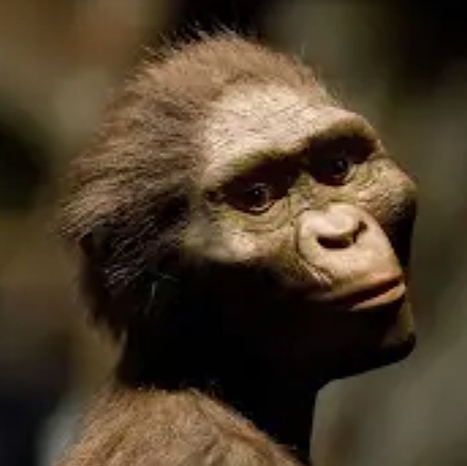 Create meme: Australopithecus Lucy, hominids, Australopithecus