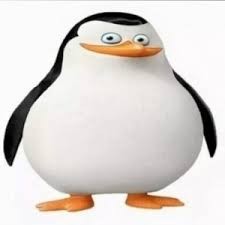 Create meme: penguin, the Madagascar penguins, penguin from Madagascar