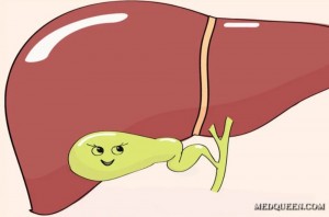 Create meme: gallbladder