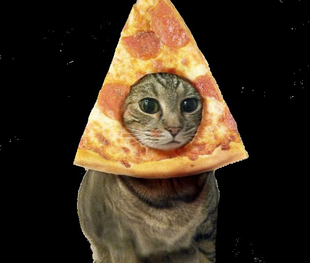 Создать мем: пицца, пицца котенок, котик с пиццей